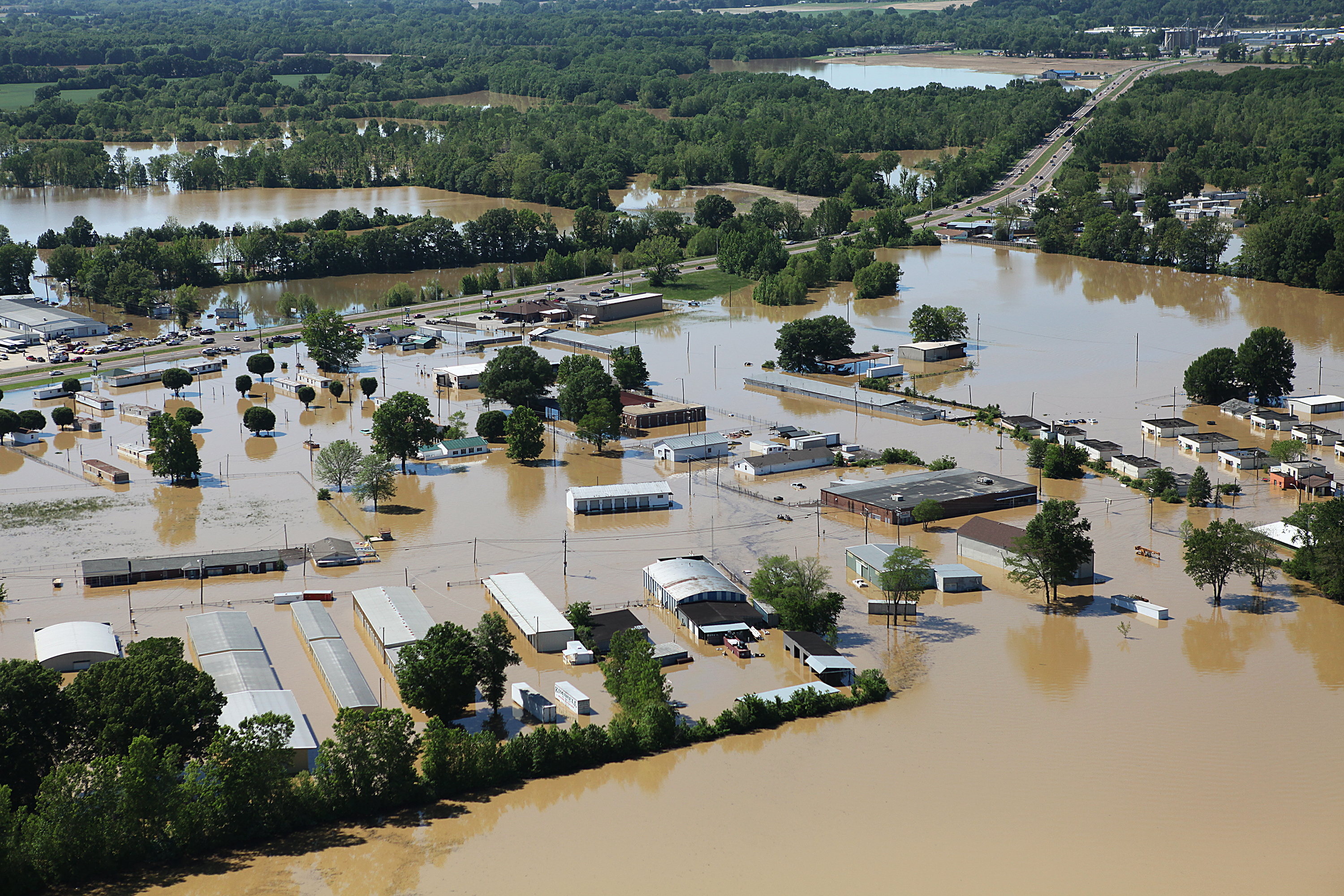 Flooding. Затопленные растения. Inland Flood. • Флуд (Flood).